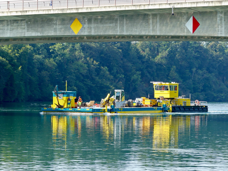 Bagger Schoggihai
