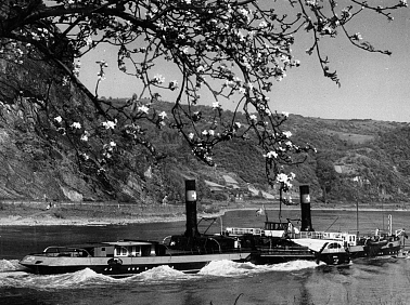 Räderboot BERN bei der Loreley