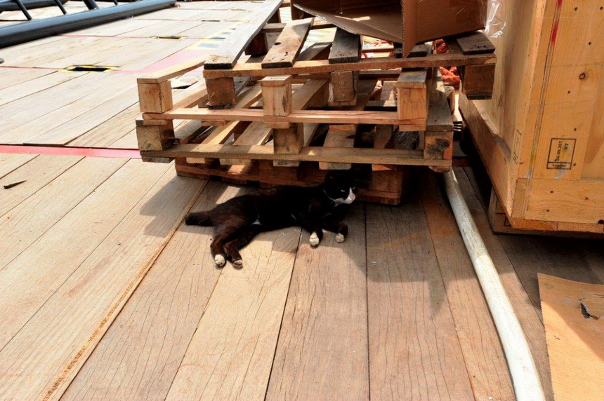 oya_057_baubild-037